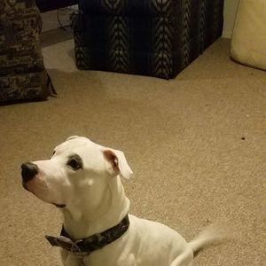 Meet your Posher, Dale